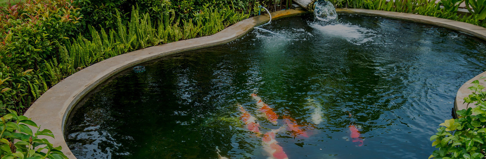 Teichbau