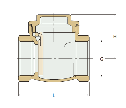 Check valve type 1670